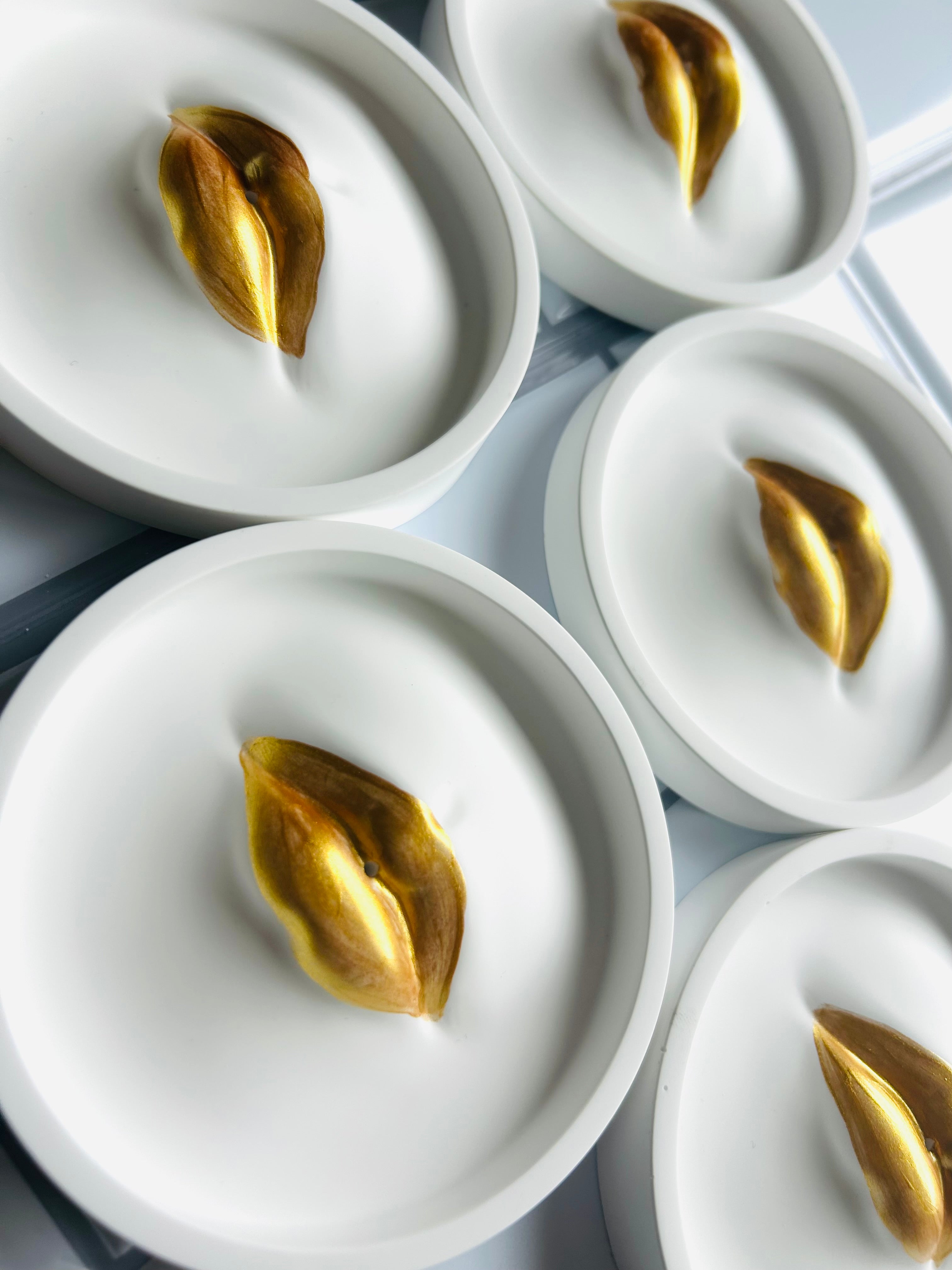 The Stoma Tray